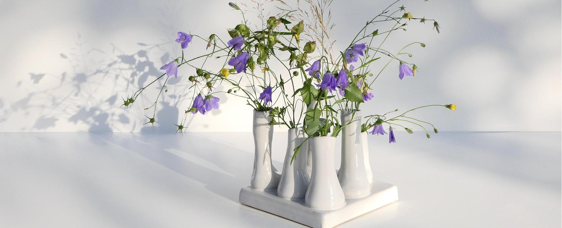 Pip Studio Verkäufe -Pip Studio Verkäufe flowers 4410990 1920